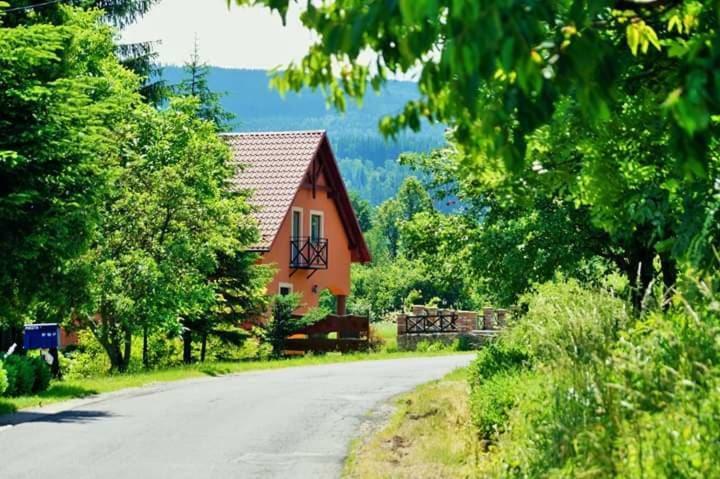Wydrza-Przystan Villa Mirsk Bagian luar foto